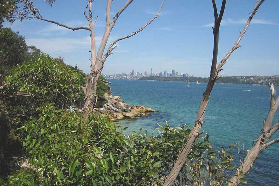 Sydney-North-Shore-walks