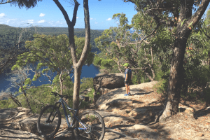 wylde mountain bike trail