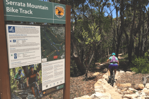 Sydney S Best Mountain Bike Trails To Try Out This Weekend